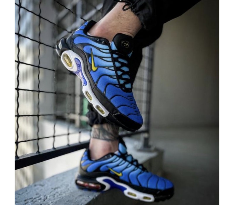 Кроссовки Nike TN Plus Blue