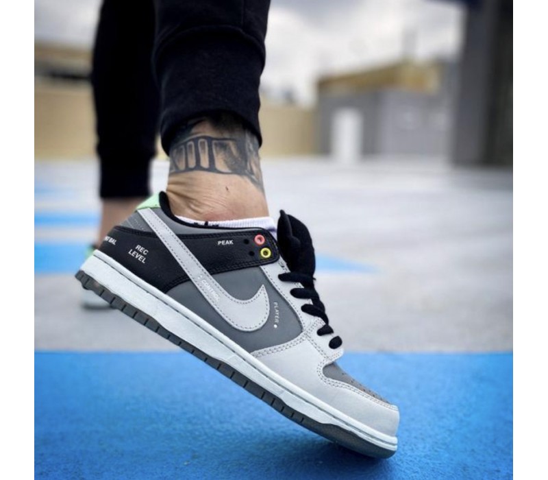 Кроссовки Nike SB Dunk VX 1000